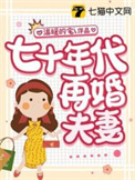 七十年代再婚夫妻爱情全文免费阅读