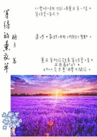 等待的蝴蝶歌曲